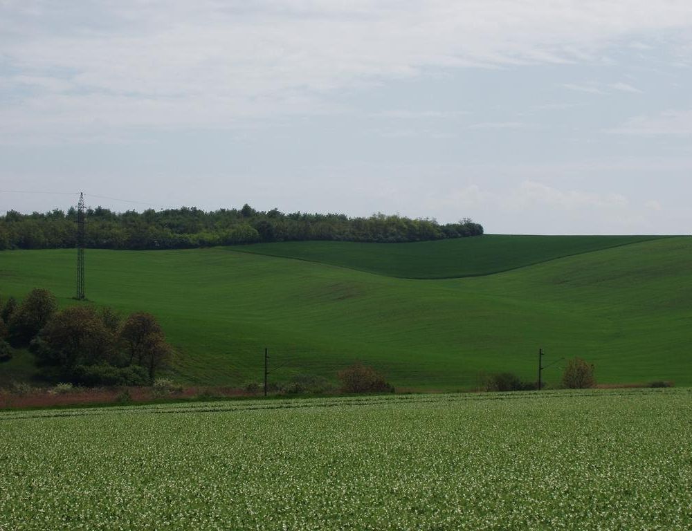 Outdoor Pictures 7