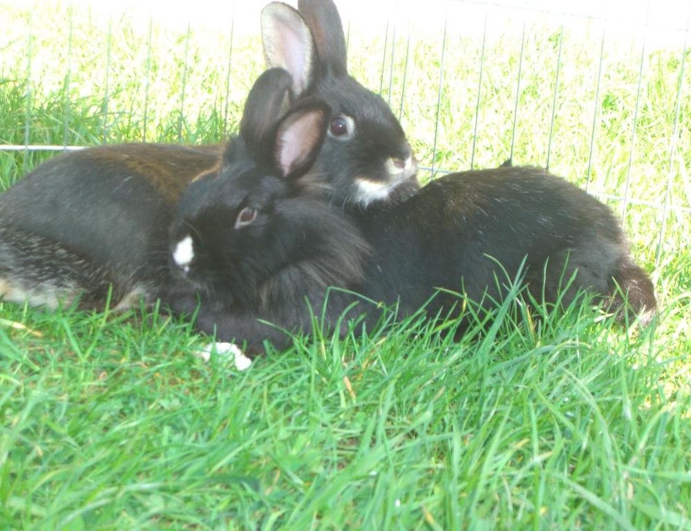 Outdoor Pictures 18