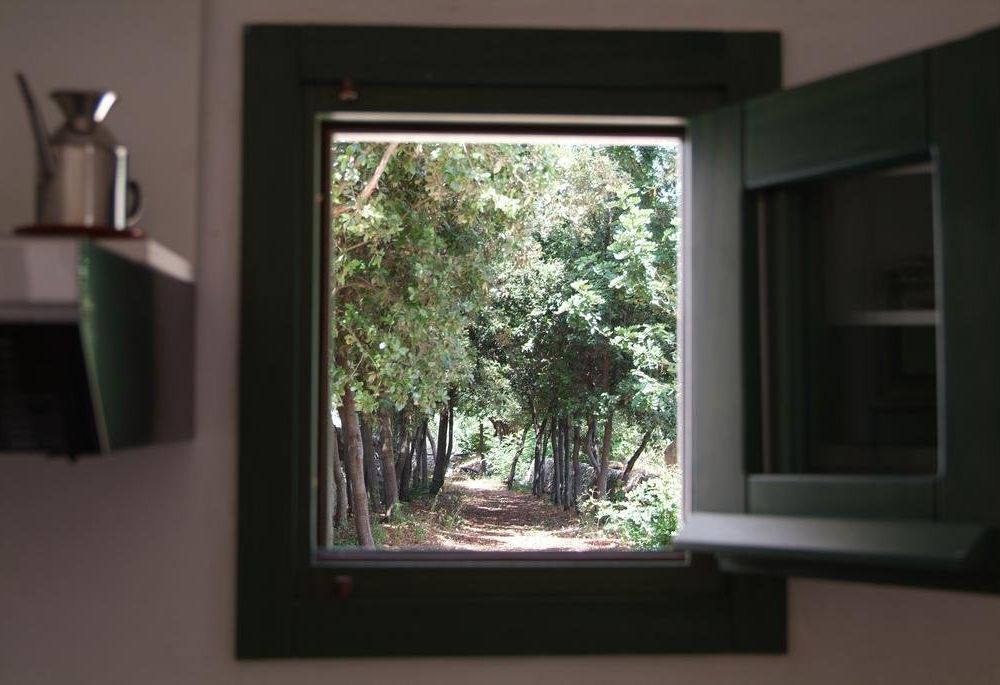 Outdoor Pictures 4