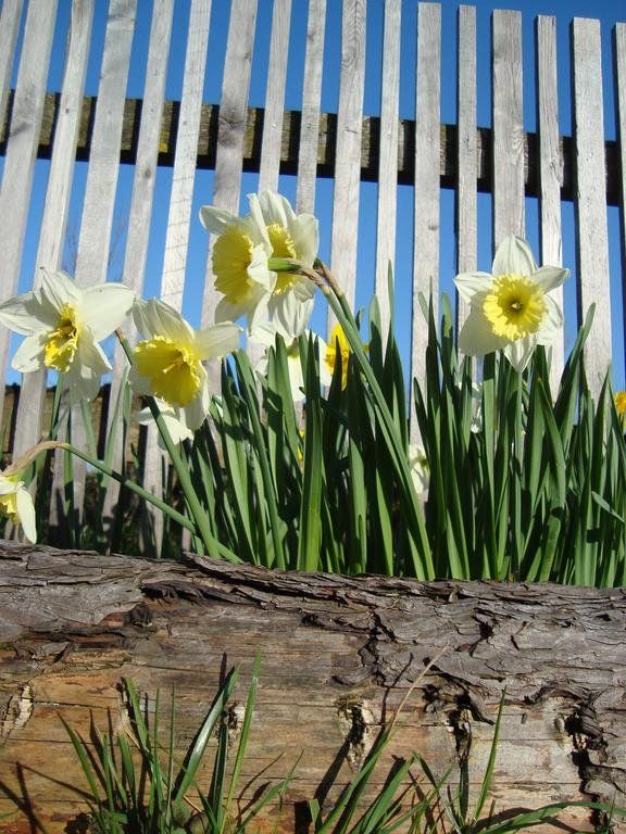 Outdoor Pictures 2