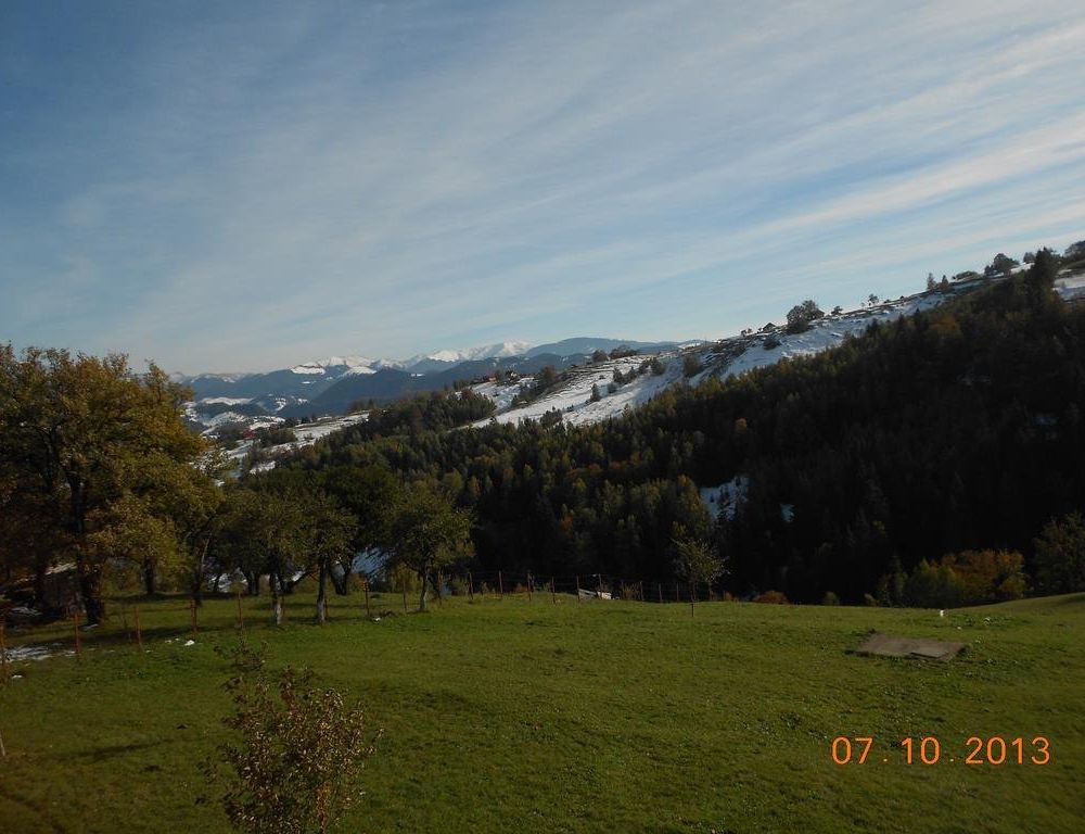 Outdoor Pictures 22