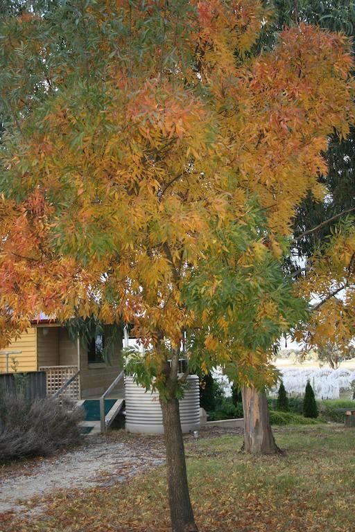 Outdoor Pictures 10
