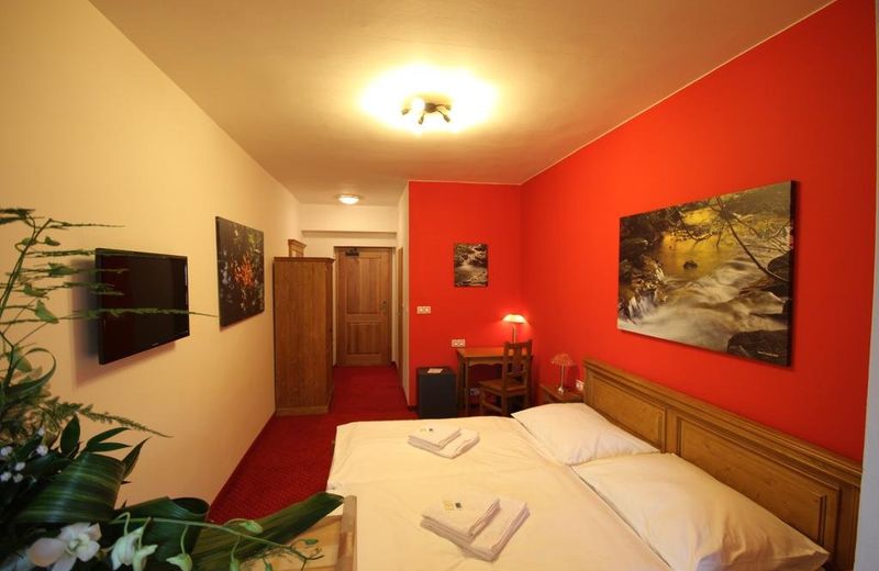 Horsky hotel Vidly