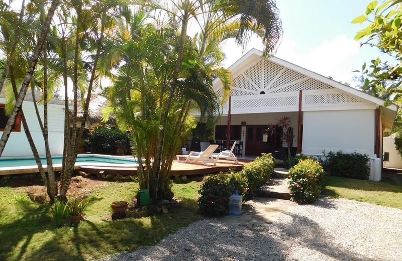 Oasis Tropical
