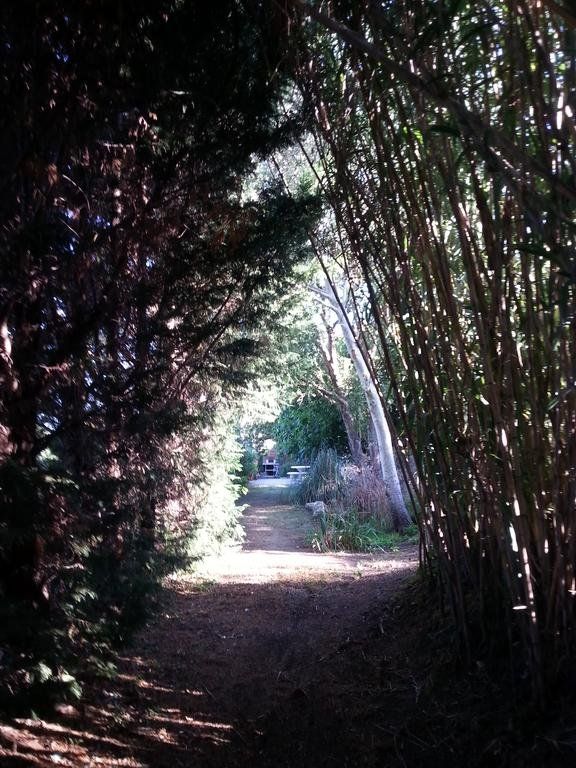 Outdoor Pictures 17