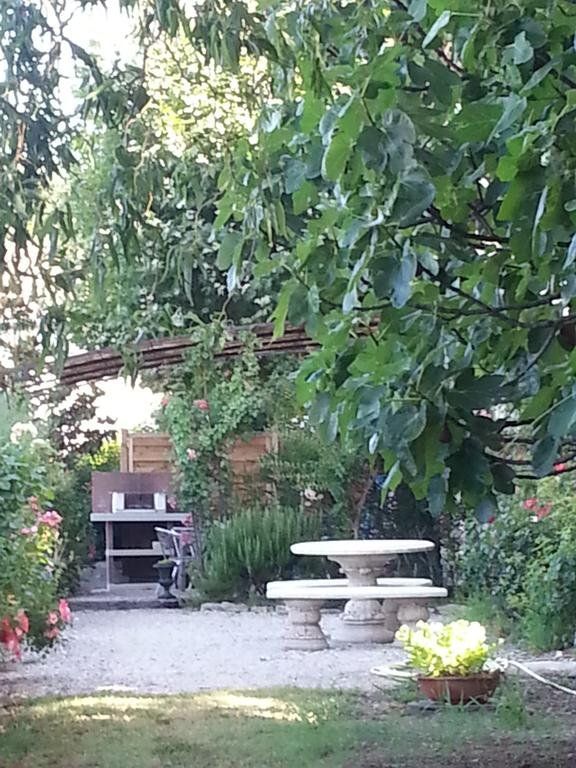 Outdoor Pictures 15