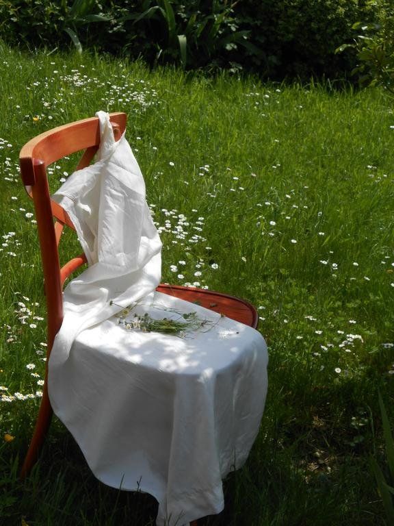 Outdoor Pictures 21