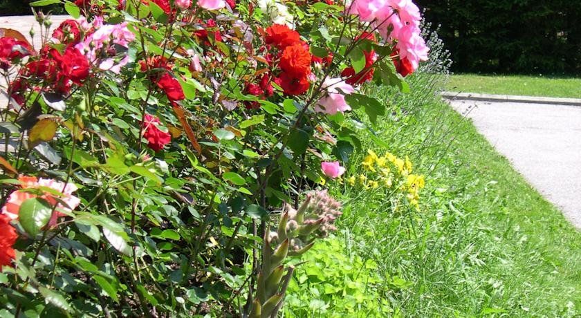 Outdoor Pictures 18