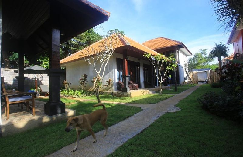 Olas homestay bali
