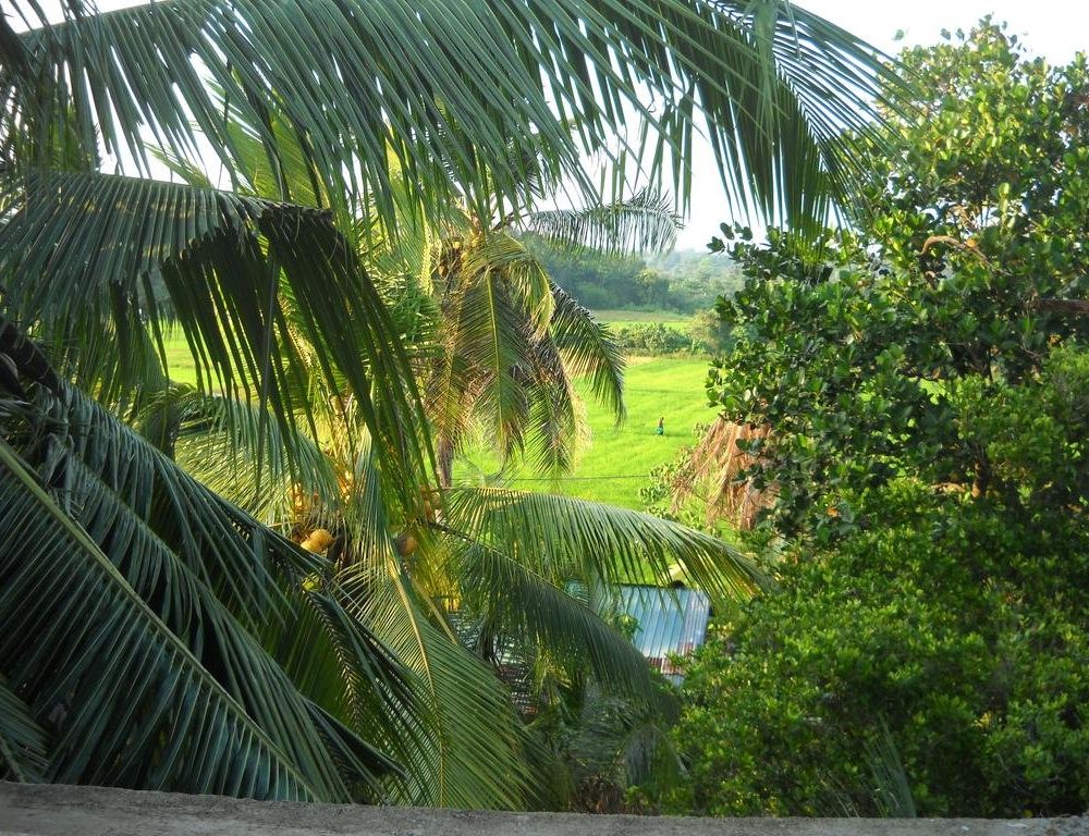 Outdoor Pictures 23