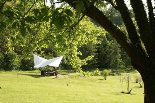 Outdoor Pictures 11
