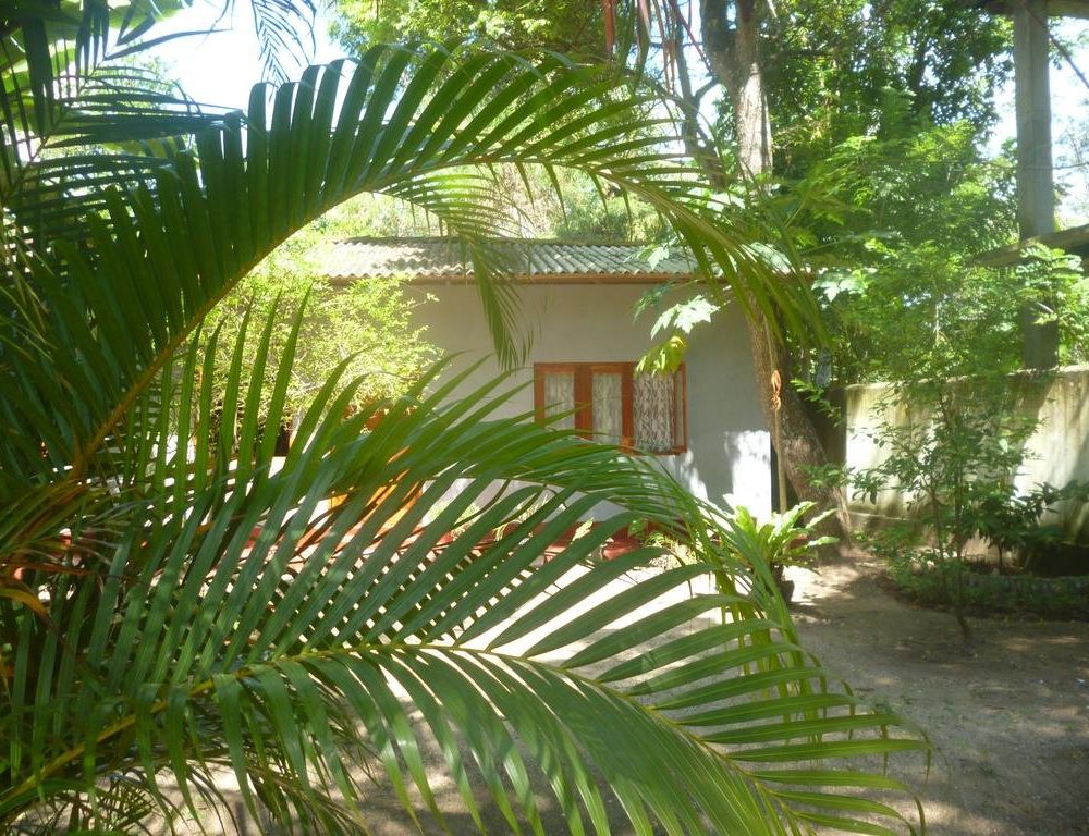 Outdoor Pictures 7