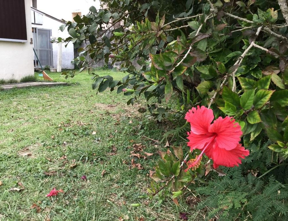 Outdoor Pictures 14