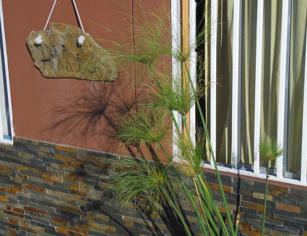 Outdoor Pictures 9