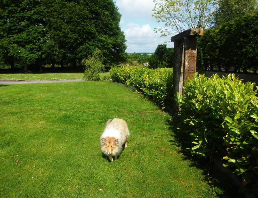 Outdoor Pictures 21