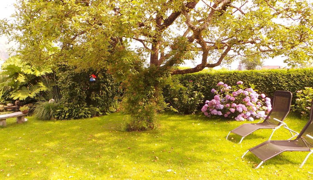 Outdoor Pictures 11