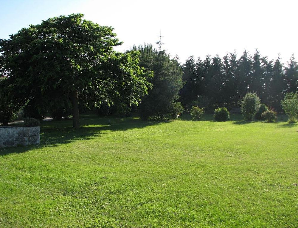 Outdoor Pictures 15