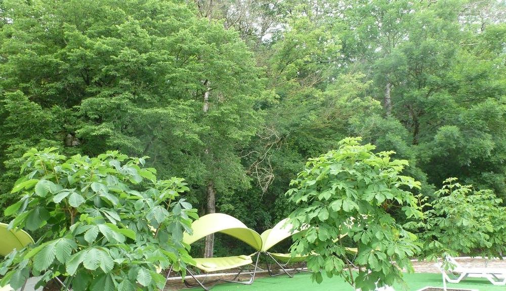 Outdoor Pictures 24