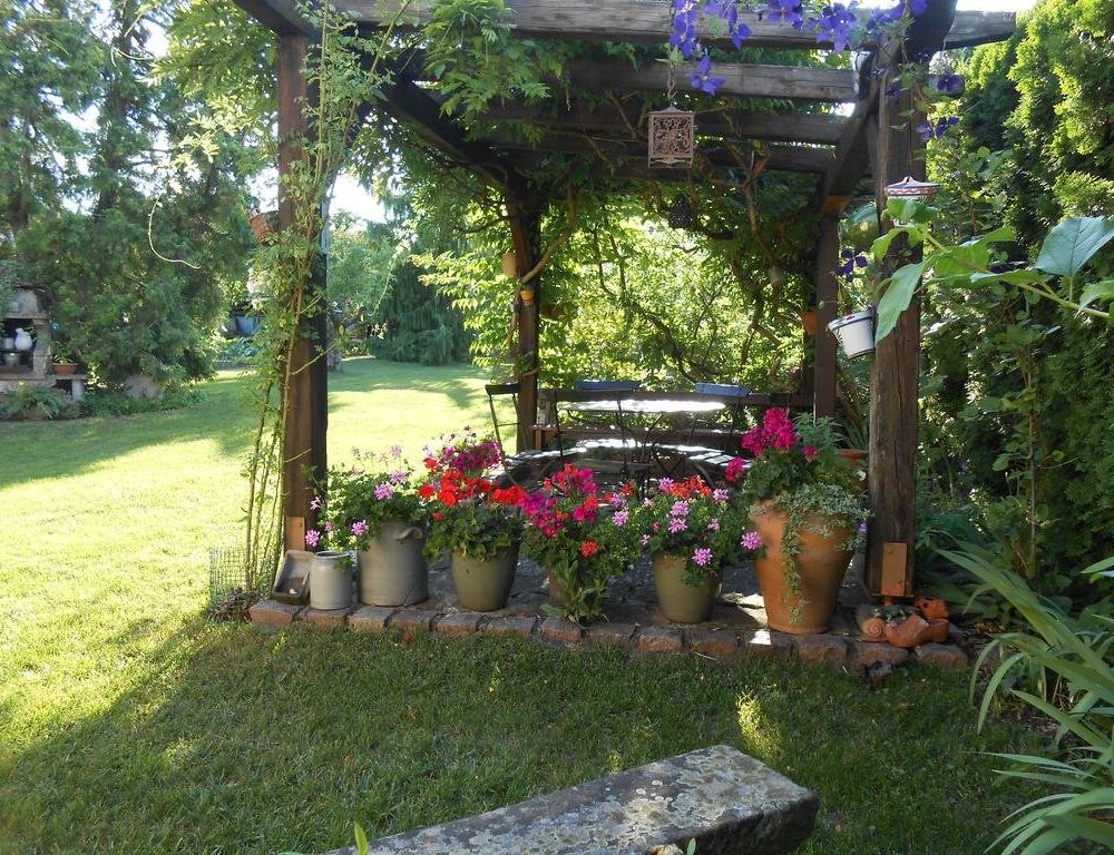 Outdoor Pictures 3