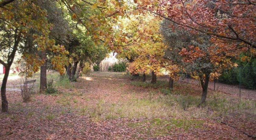 Outdoor Pictures 11