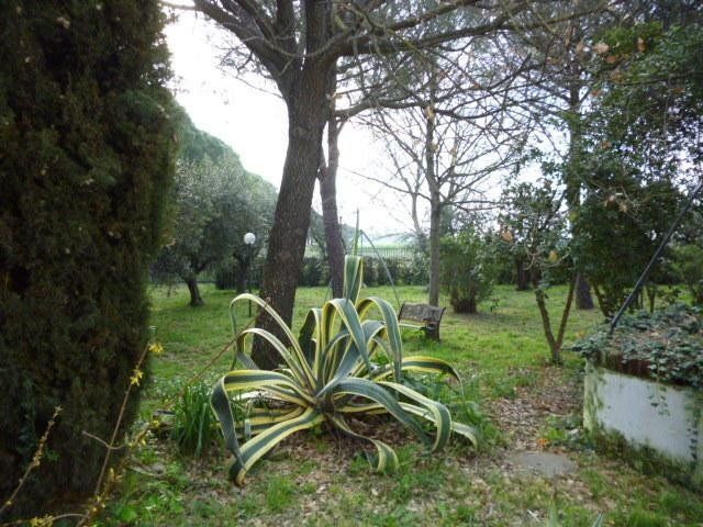 Outdoor Pictures 6