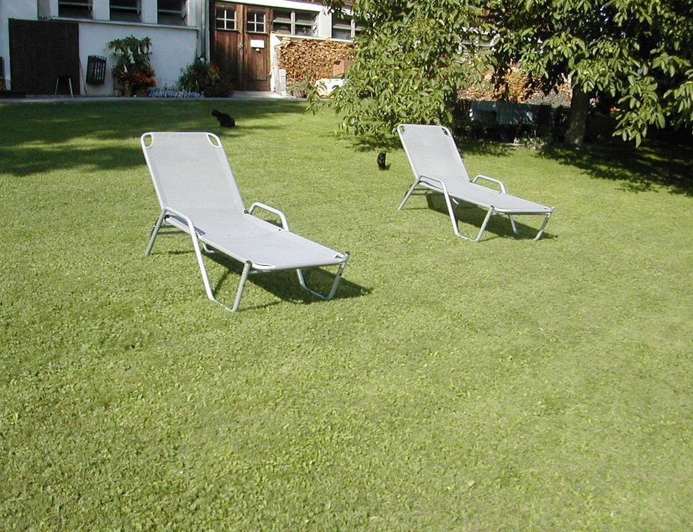 Outdoor Pictures 10