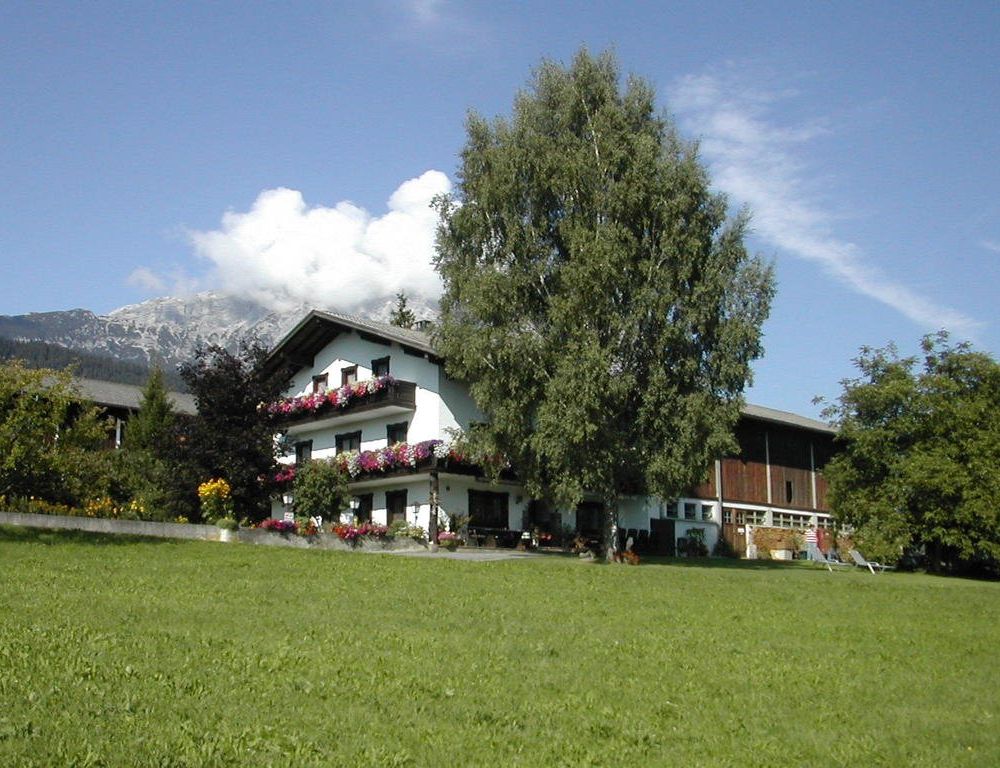 Outdoor Pictures 12