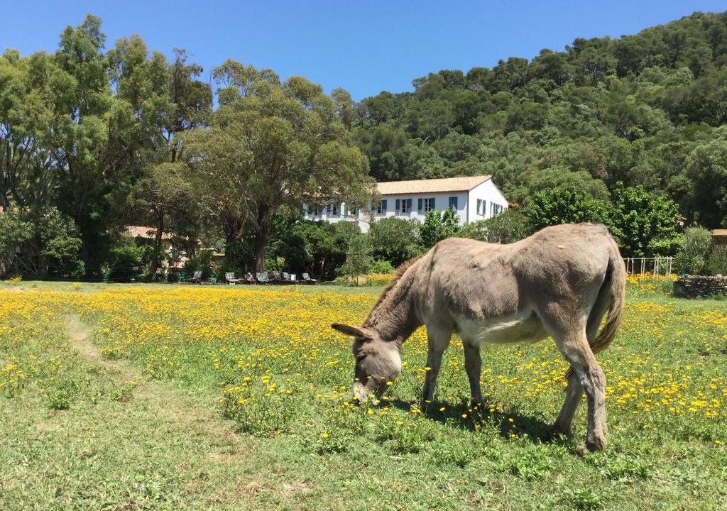 Le Manoir de Port-Cros
