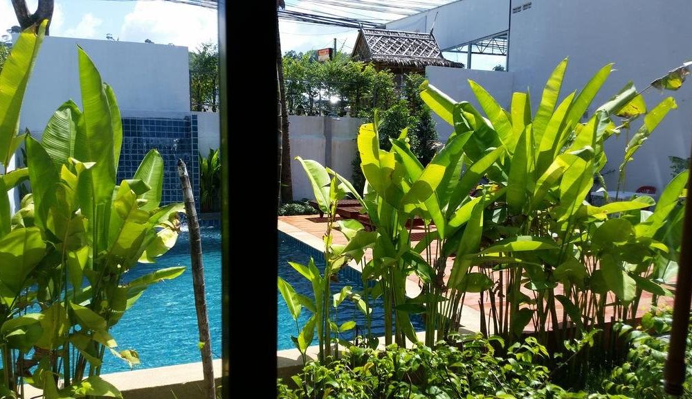 Outdoor Pictures 21