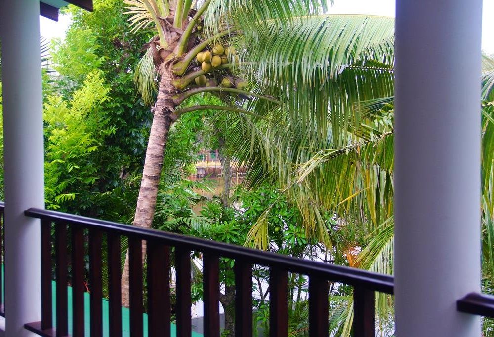 Outdoor Pictures 19