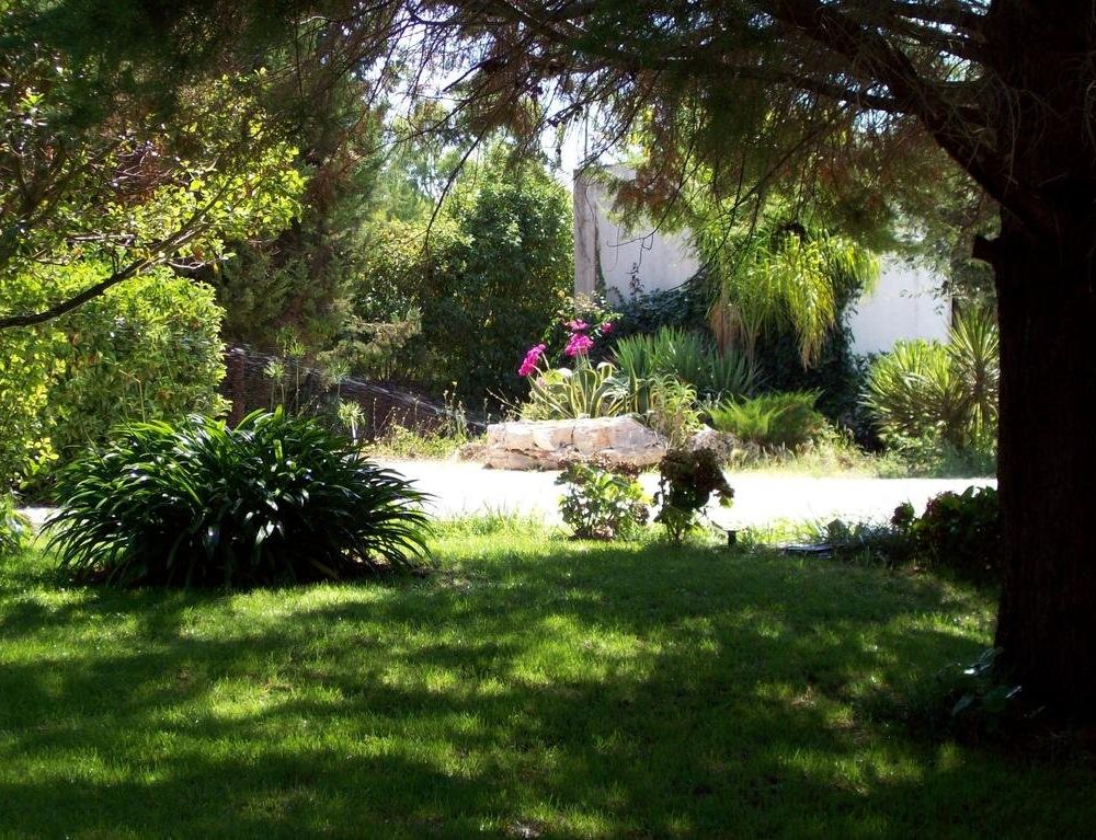 Outdoor Pictures 7
