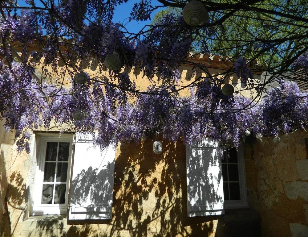 Outdoor Pictures 22
