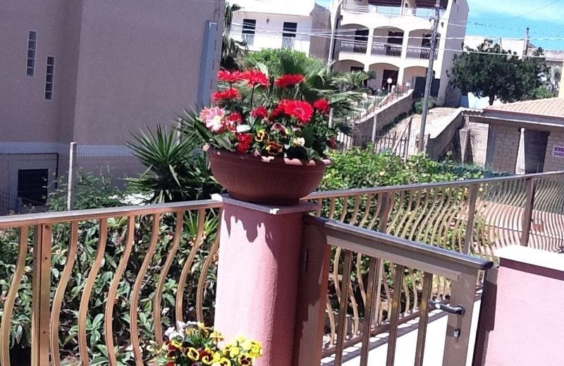 La Rosa del Deserto