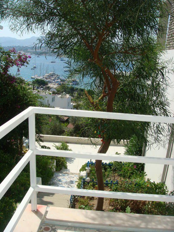 Outdoor Pictures 23