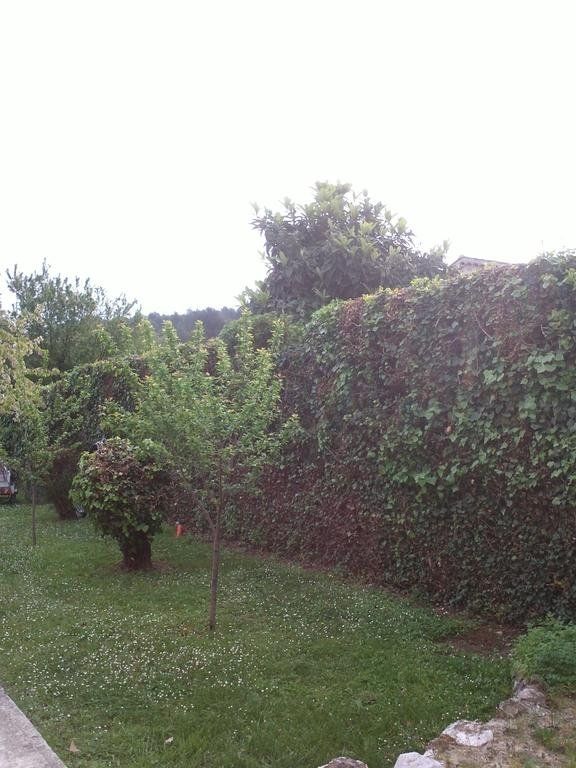 Outdoor Pictures 6