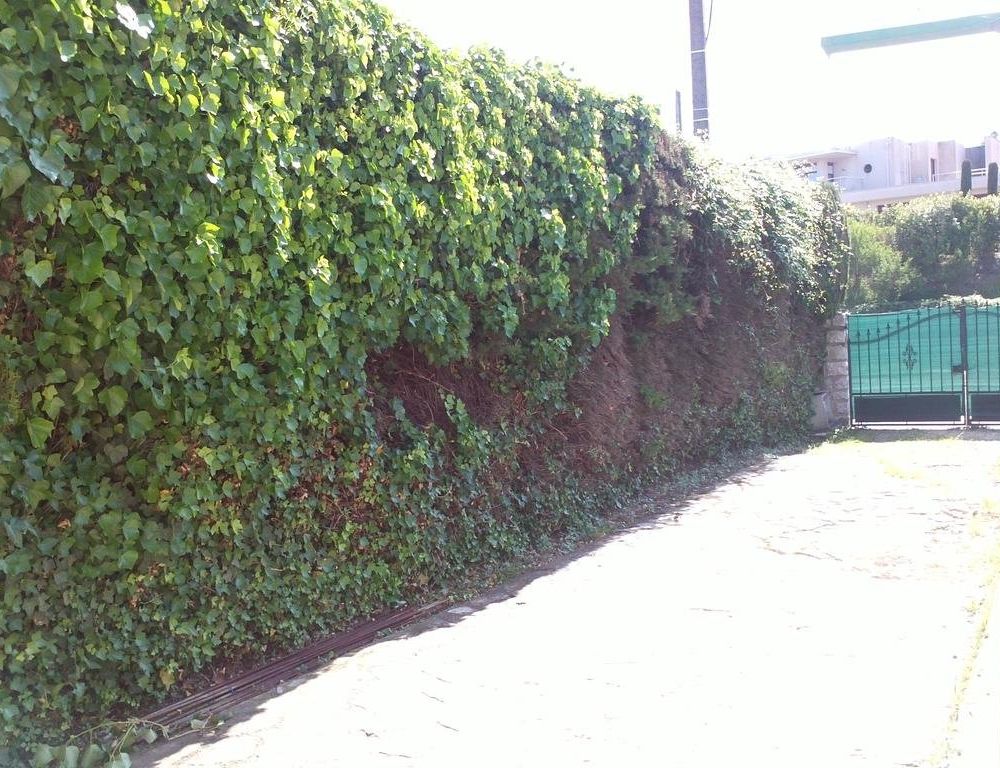 Outdoor Pictures 5