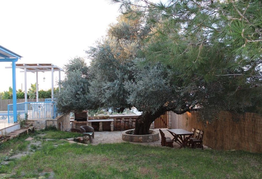 Outdoor Pictures 15