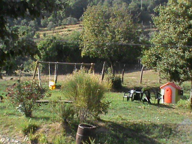 Outdoor Pictures 11
