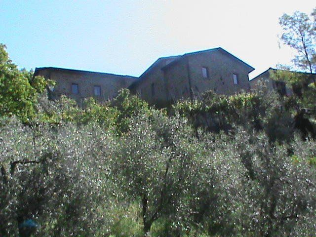 Outdoor Pictures 10