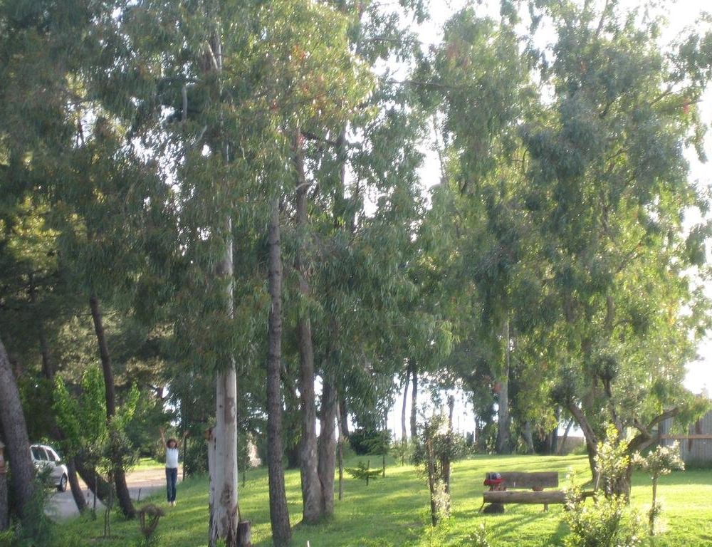 Outdoor Pictures 22