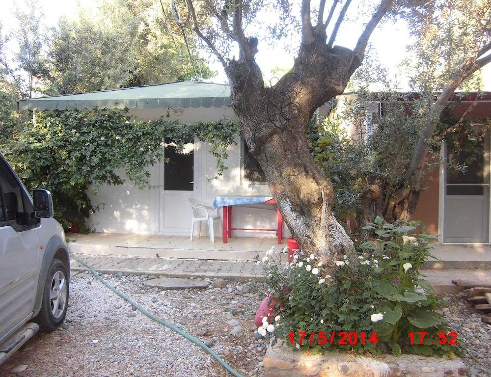 Outdoor Pictures 11