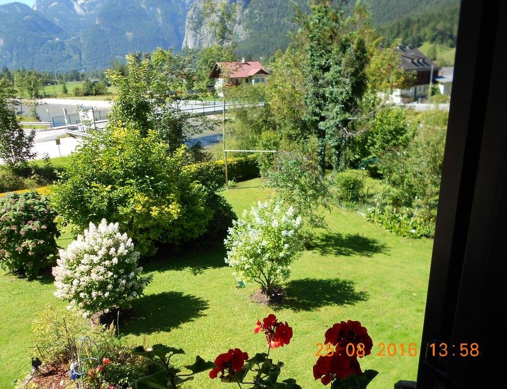 Outdoor Pictures 8
