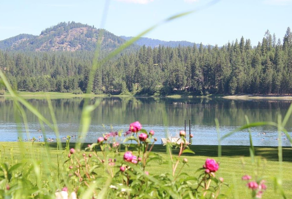 Outdoor Pictures 12