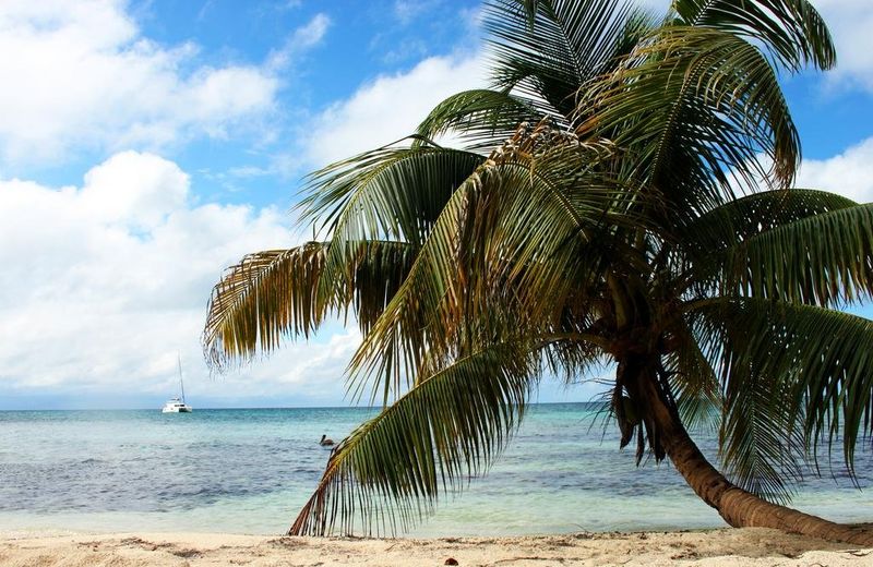 Ranguana Caye Cabanas