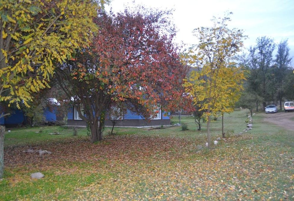 Outdoor Pictures 17