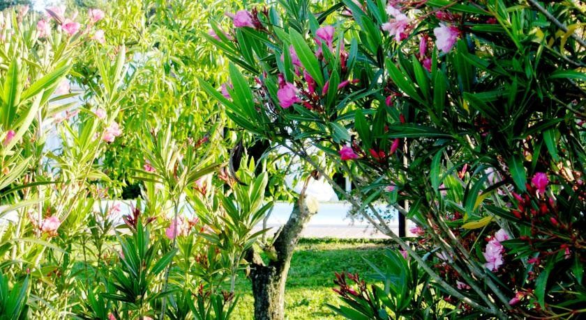 Outdoor Pictures 19