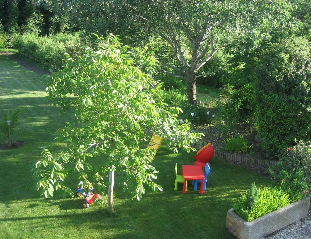 Outdoor Pictures 5