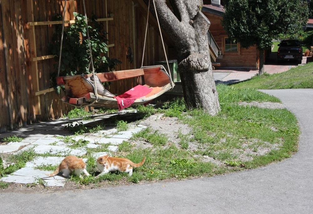 Outdoor Pictures 15