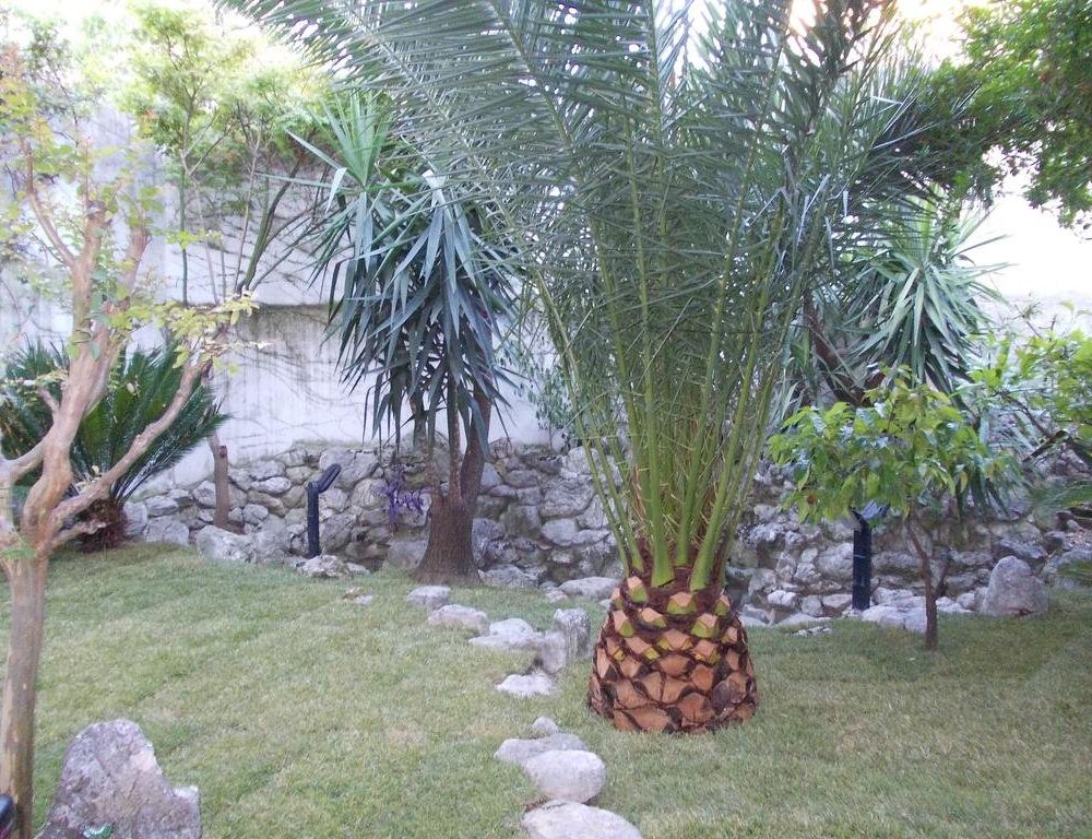 Outdoor Pictures 19