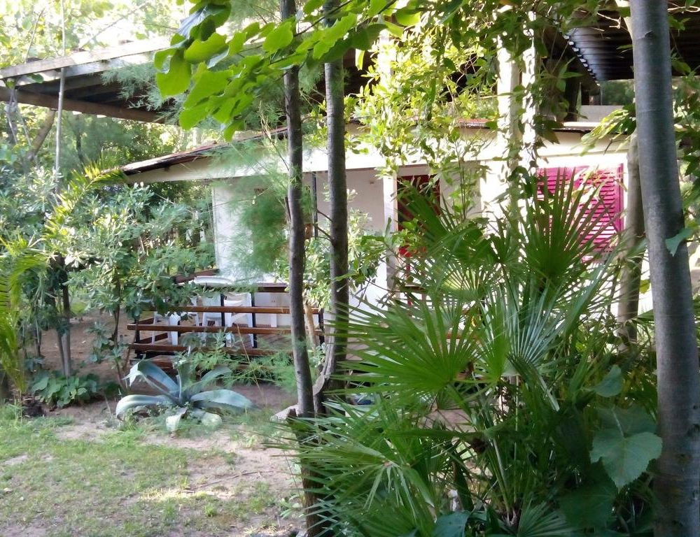 Outdoor Pictures 11